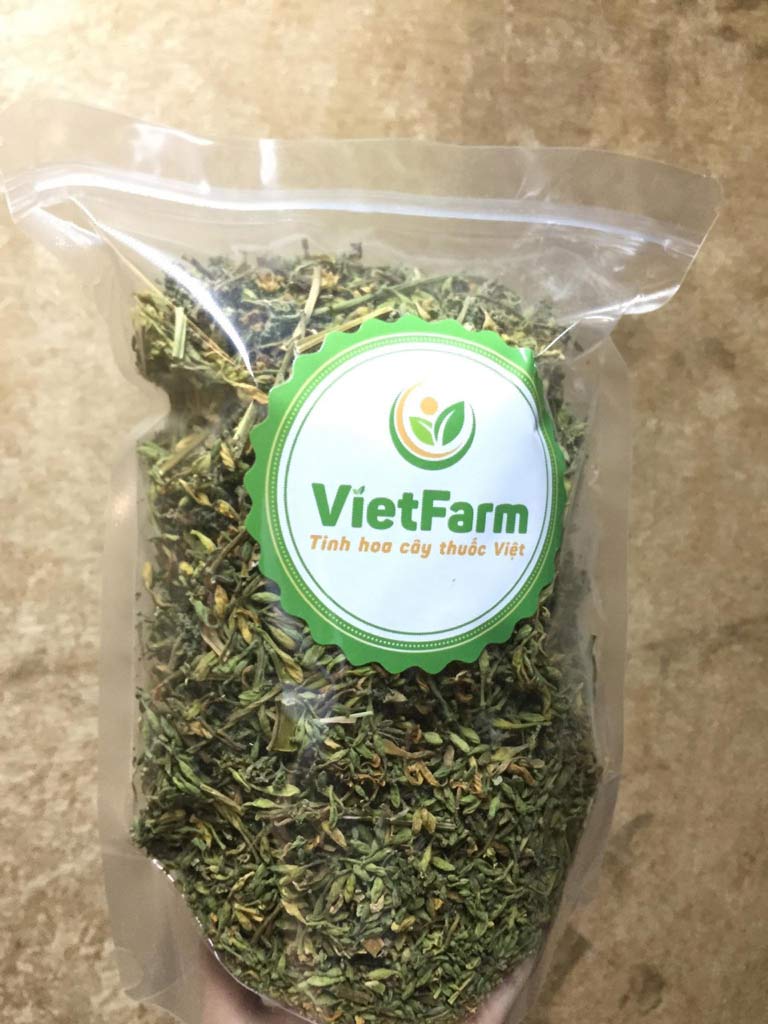 Hoa đu đủ đực Vietfarm được nhiều chuyên gia lựa chọn và khuyên dùng