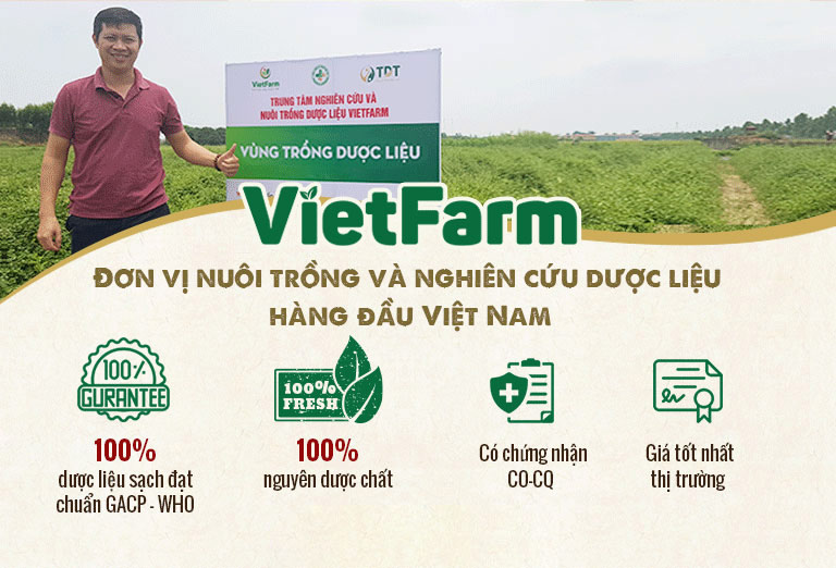Trung tâm Dược liệu Quốc gia Vietfarm cung cấp dược liệu đạt chuẩn GACP - WHO