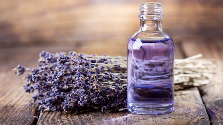 Lavender có tác dụng giảm stress, một yếu tố góp phần gây ra tình trạng tinh trùng vón cục