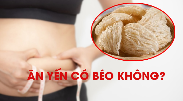 ăn yến có béo không