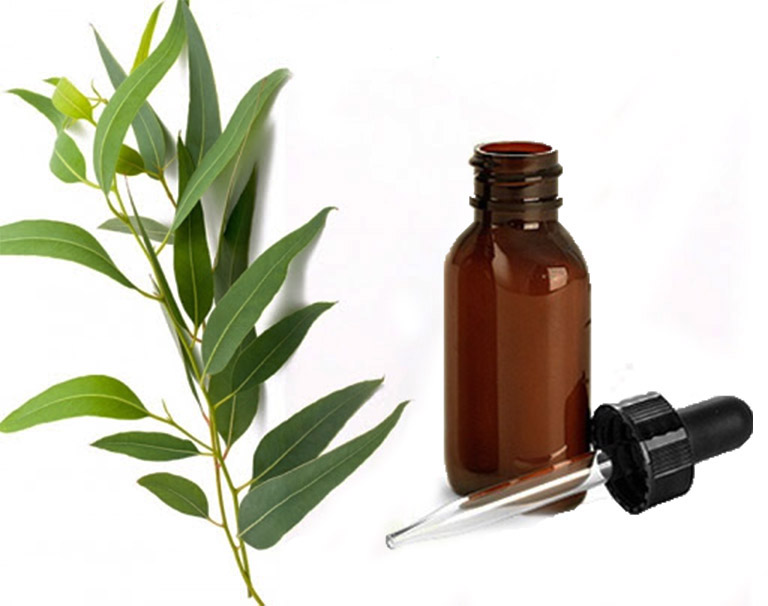 Thành phần hoạt chất Eucalyptol trong tinh dầu tràm có công dụng kháng khuẩn, tiêu viêm, sát khuẩn nhẹ, tiêu đờm, trị ho và phòng ngừa cảm lạnh cho trẻ sơ sinh hiệu quả